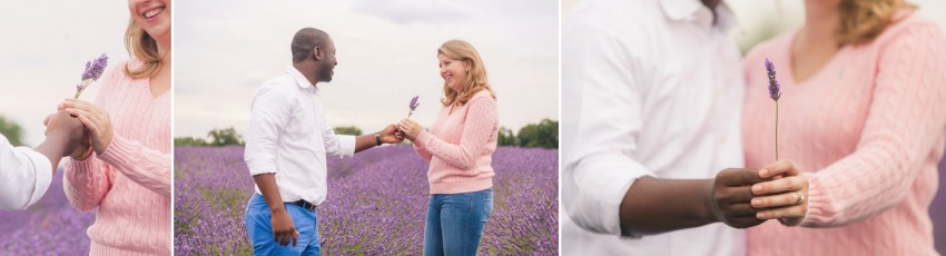 Lavender field engagement shoot